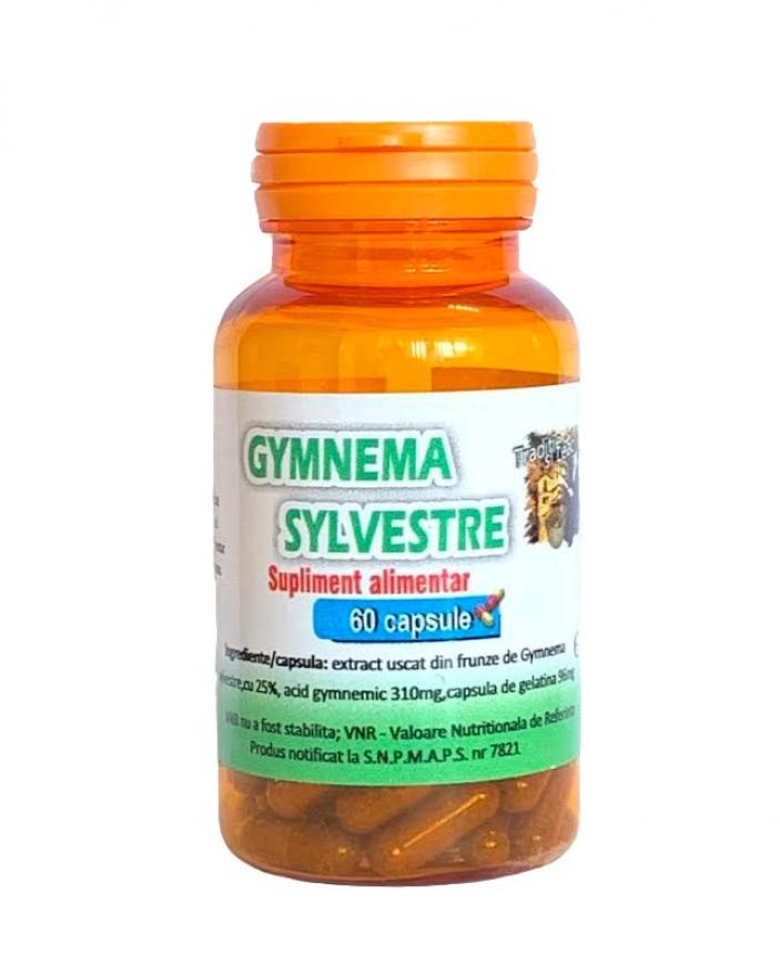 Gymnema Sylvestre 60 capsule
