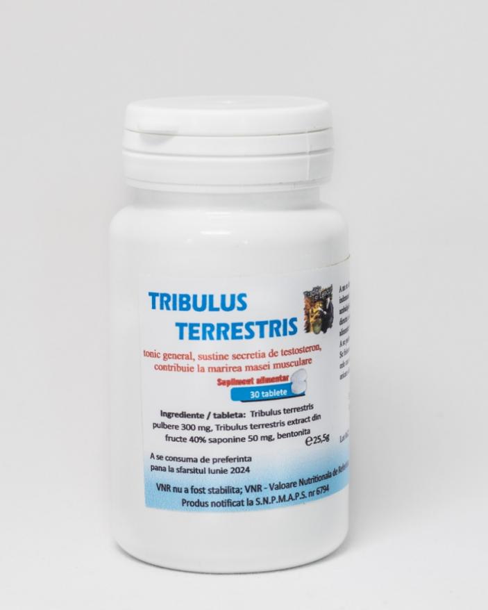tribulus pentru prostatită