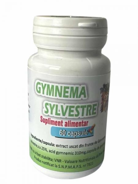 Gymnema Sylvestre 60 capsule